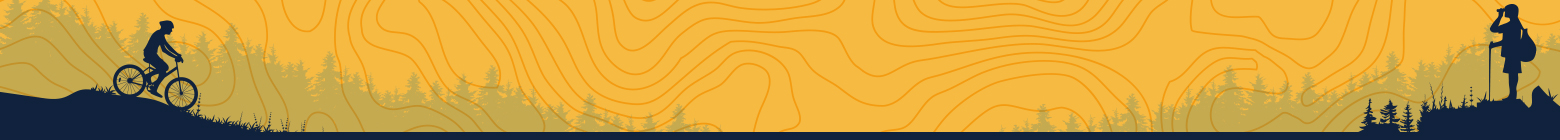 this graphic is an article breaker