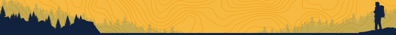 this graphic is an article breaker